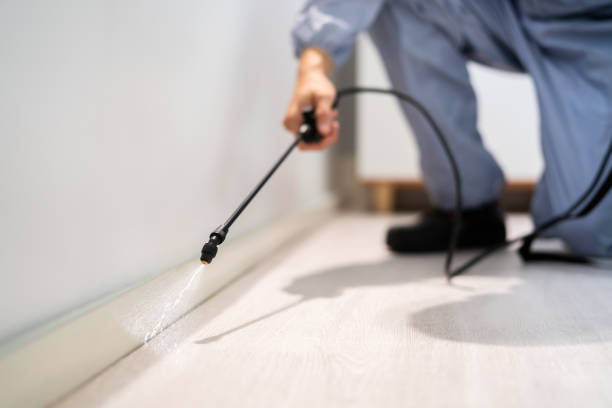 Licensed Pest Control service in Vienna, WV - Show Me Pest Control