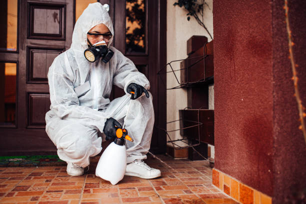 Attic and Crawl Space Rodent Treatment in Vienna
