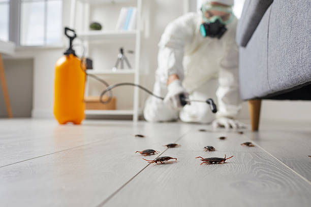 Commercial Rodent Management in Vienna